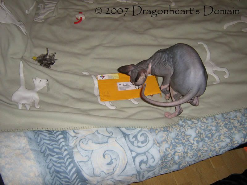Dragonheart checking out his mail