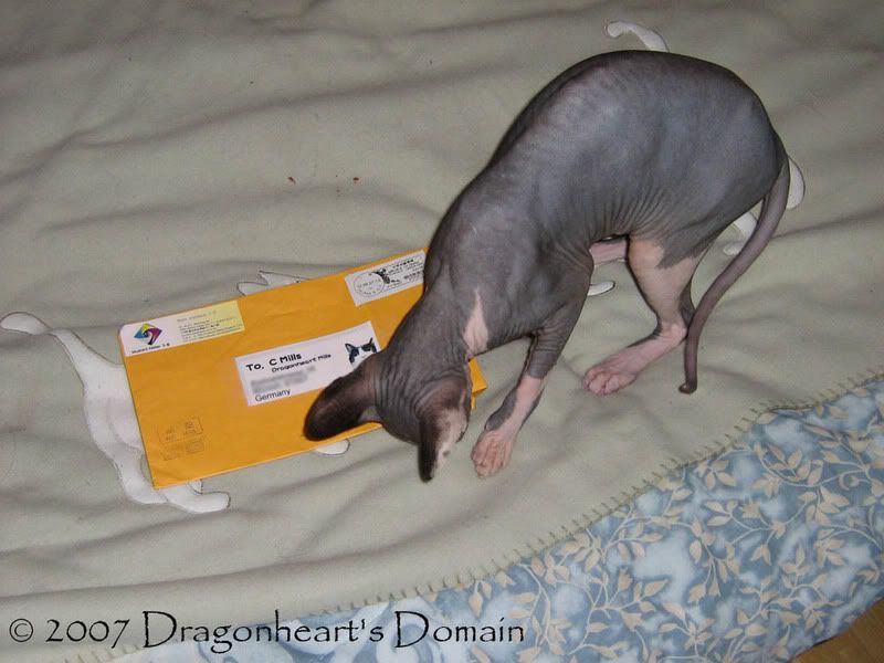 Dragonheart checking out his mail