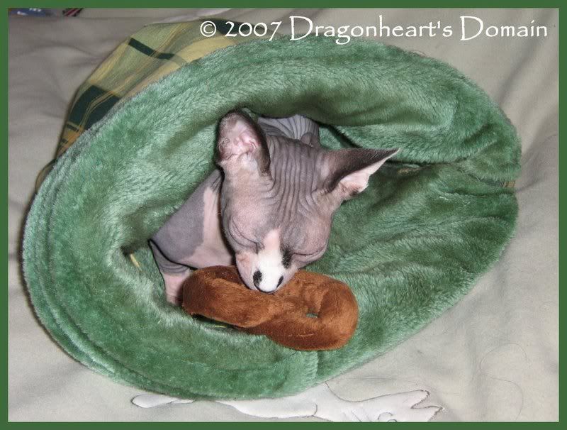 Dragonheart in his sleeping bag