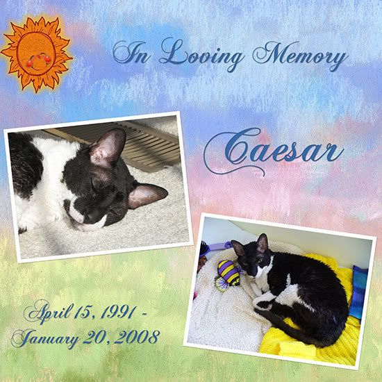 In Loving Memory, Caesar