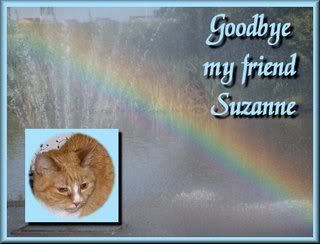Goodbye my friend Suzanne