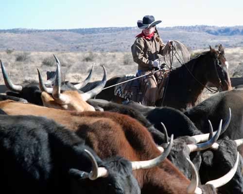 West Texas Cowgirl Pictures, Images and Photos