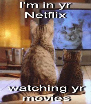 Netflix cat Pictures, Images and Photos