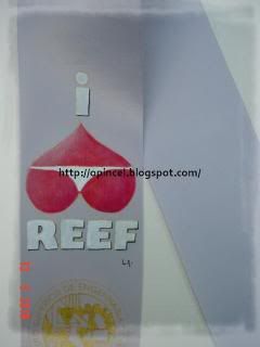 Fita de Final de Curso