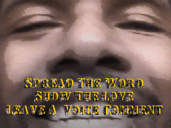 Leave A Voice Comment