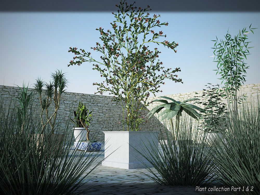 Sketchup Plants
