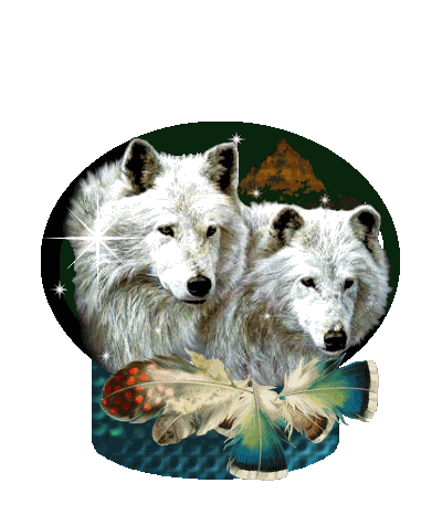 white_wolves.gif picture by ria50
