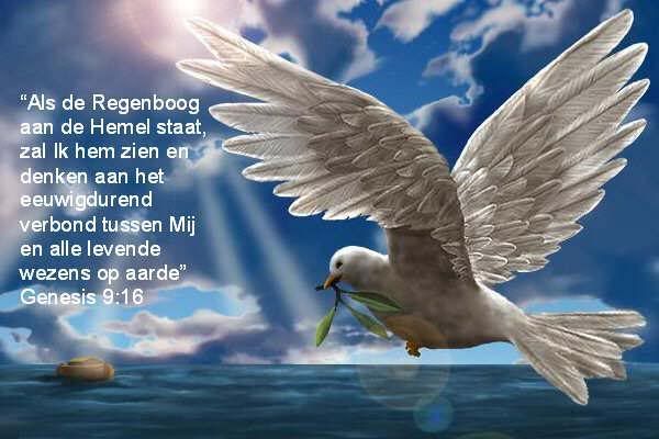 wings.jpg wings image by ria50