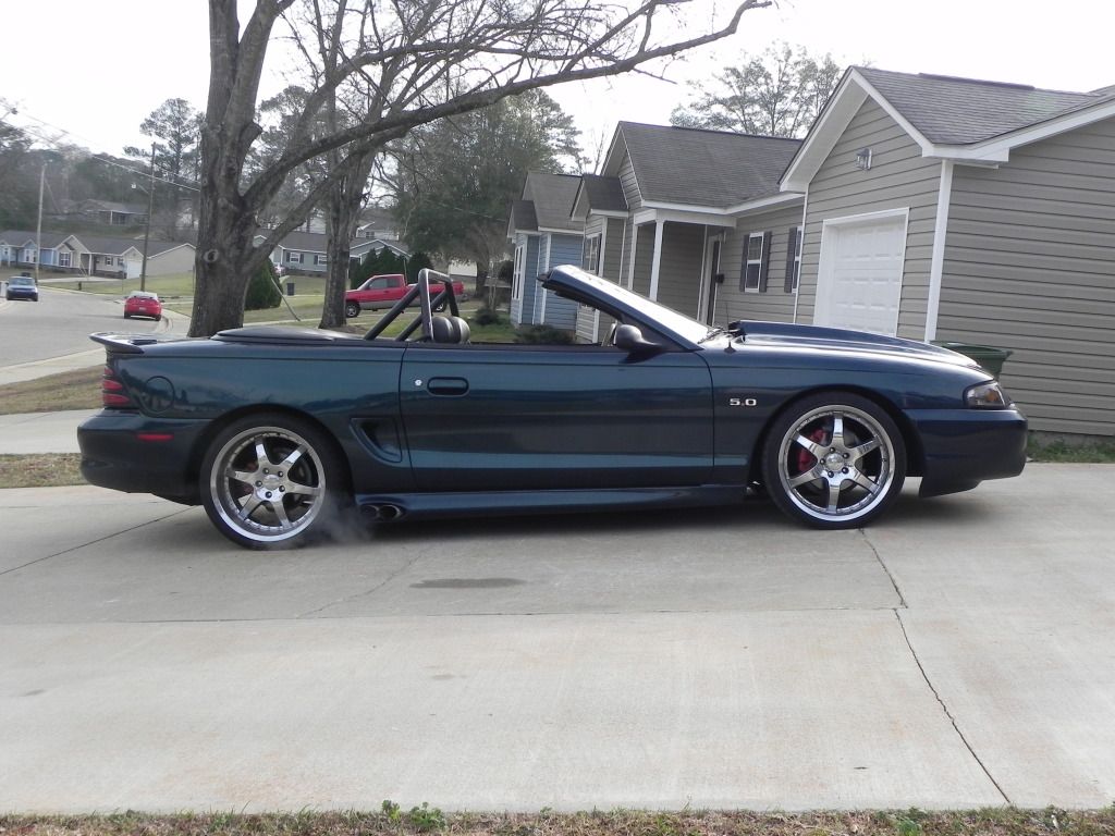 Mustang2-9-12003-2.jpg