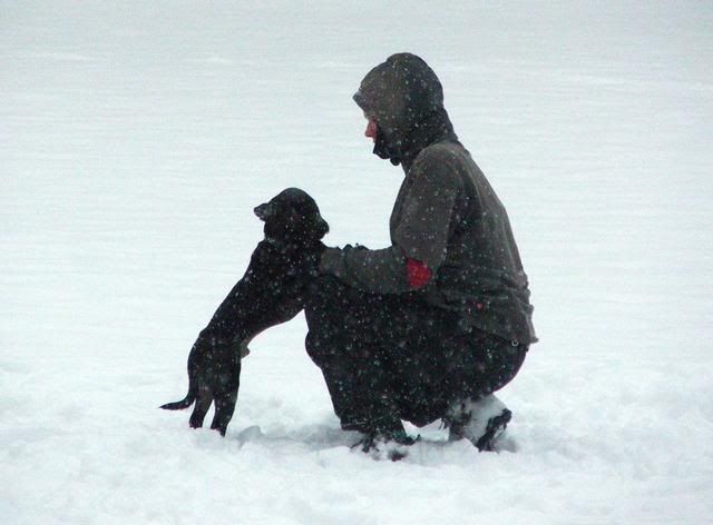 2010_0130Kutyasuli0044j.jpg