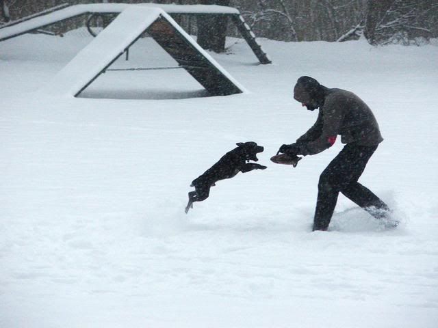 2010_0130Kutyasuli0048j.jpg