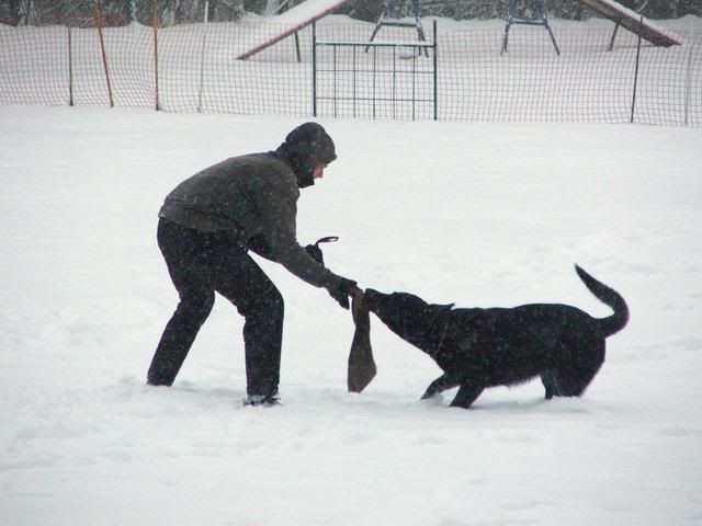 2010_0130Kutyasuli0064j.jpg