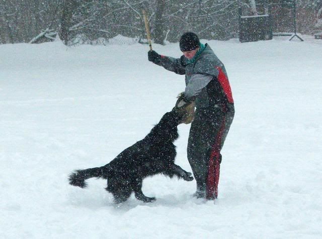 2010_0130Kutyasuli0220j.jpg