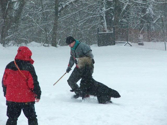 2010_0130Kutyasuli0245j.jpg