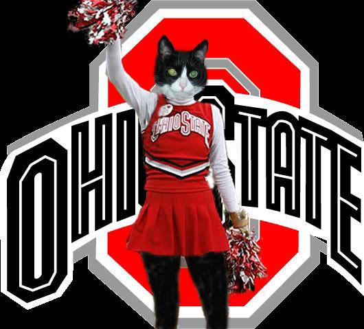 buckeye.jpg