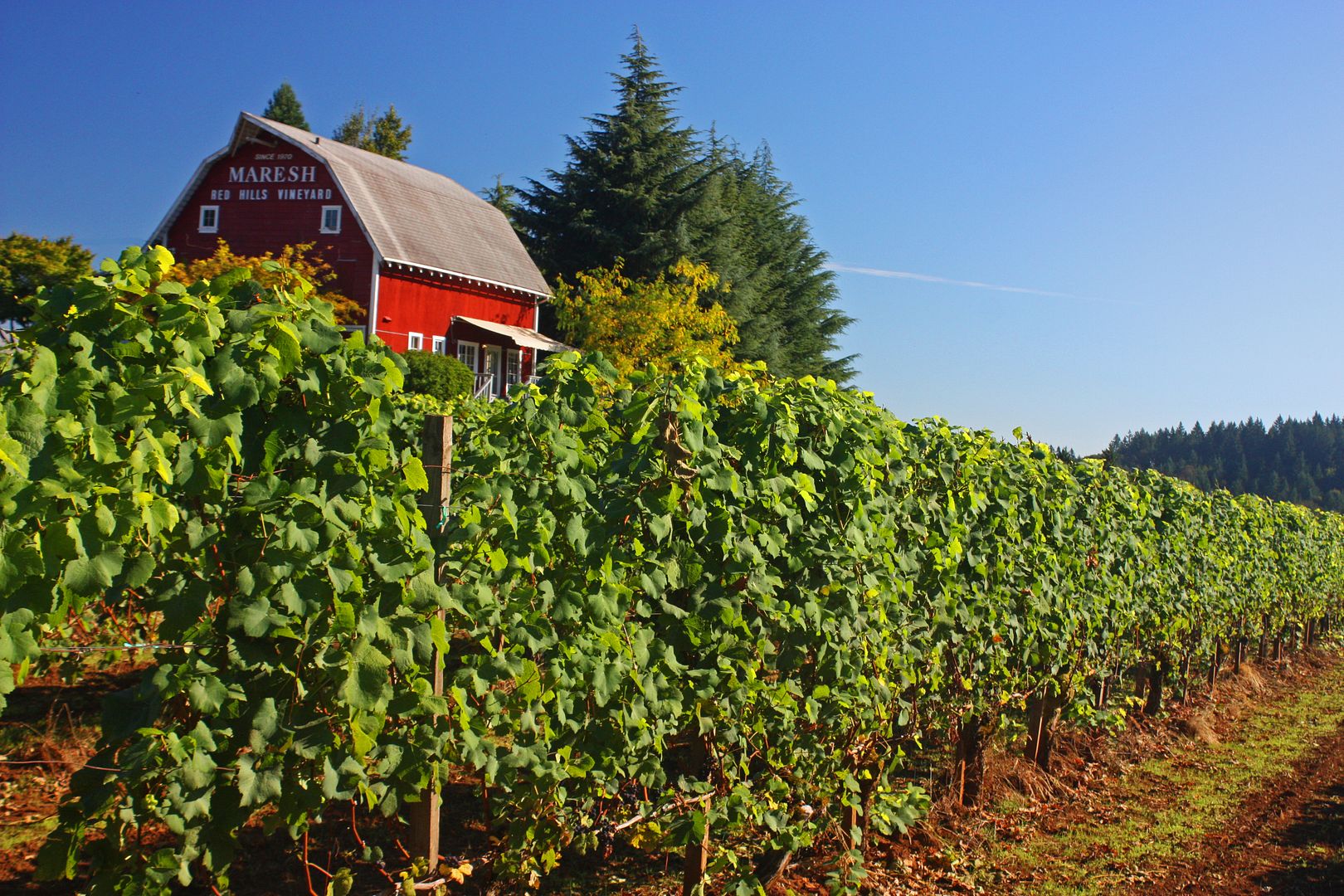 Sip and Hike? A Guide to Drinking at State Parks