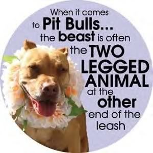 Save Pitbulls