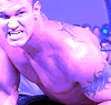randyorton7xk0