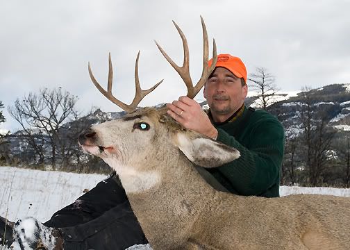 Muley1.jpg