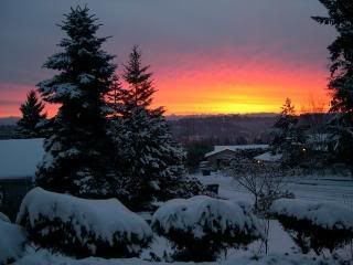 Snow Sunset Pictures, Images and Photos