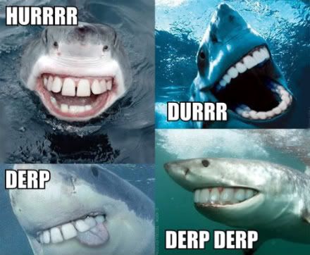 Durr Shark