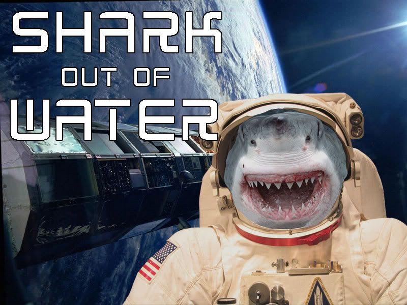 shark-out-of-water.jpg