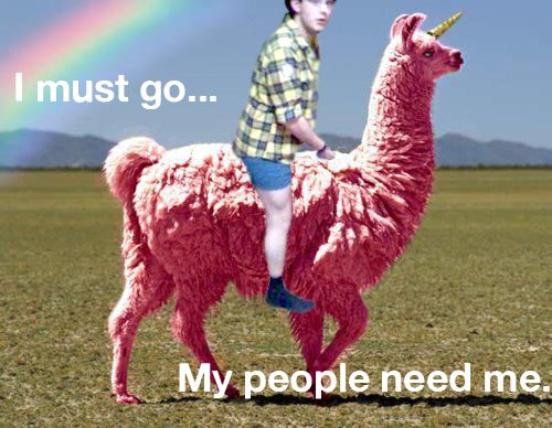 photo rylol_zpse71d446e.jpg