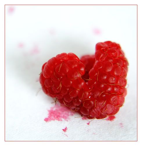 141860045_05fff9239d.jpg raspberry image by 425Rick