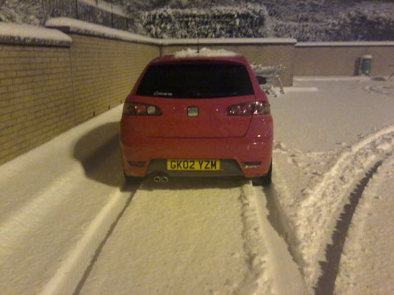 snowybiz.jpg