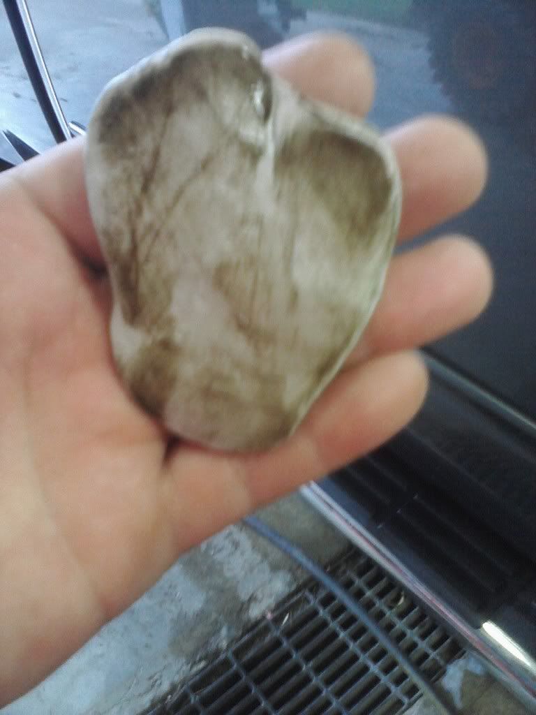 Image10042011093325.jpg