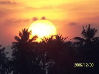 maldive2006074.jpg