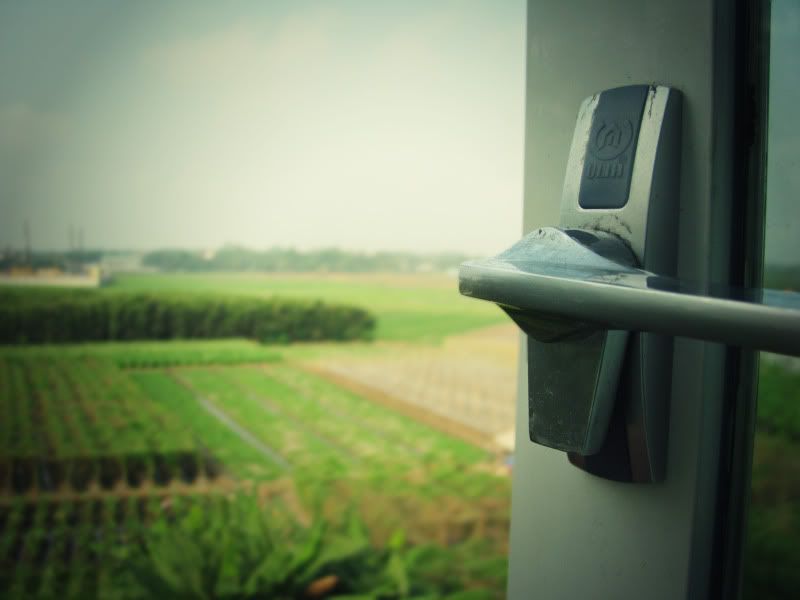 Khu đô thị , thành phố mới bình dương ?? - 4