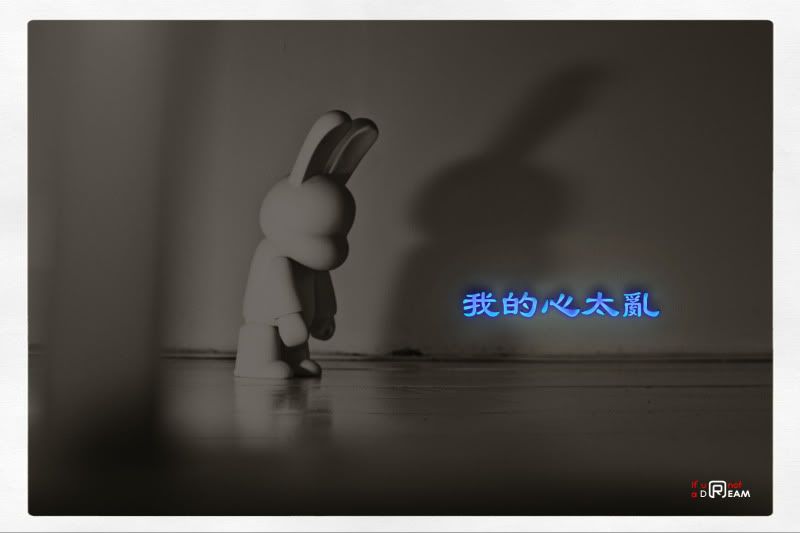 Daily diary for everyone