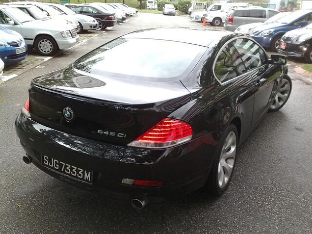 SJG7333M645Back.jpg