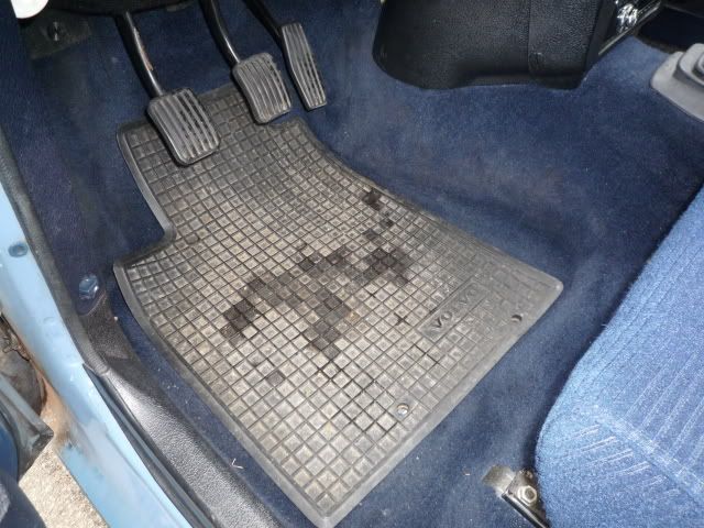 [Afbeelding: P1030055.jpg]