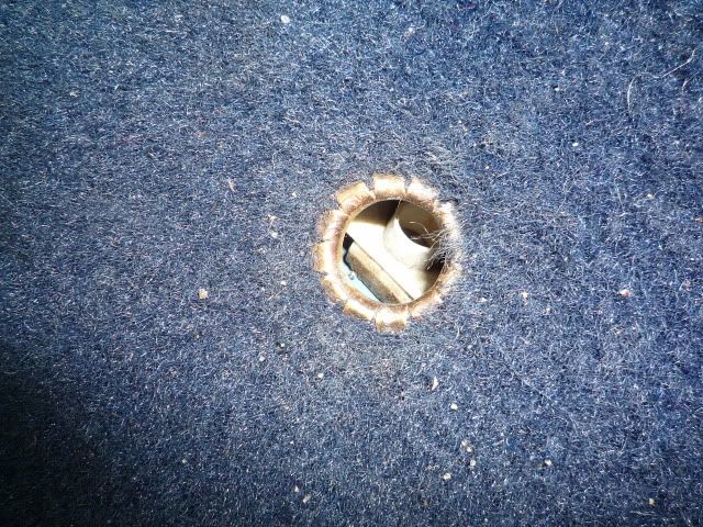 [Afbeelding: P1030062.jpg]