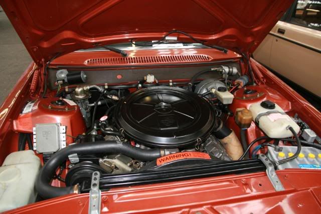 [Afbeelding: IMG_3035.jpg]