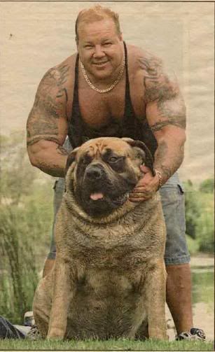 perros perros