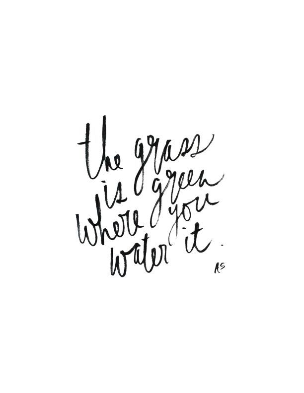  photo 1eb07923477e09a1dbaf1355a7953cb1_zpsb53fad3a.jpg