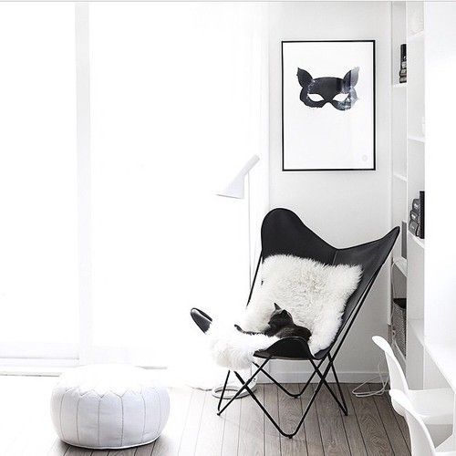  photo XCXCXClarge_zpsgzmp6a1u.jpg