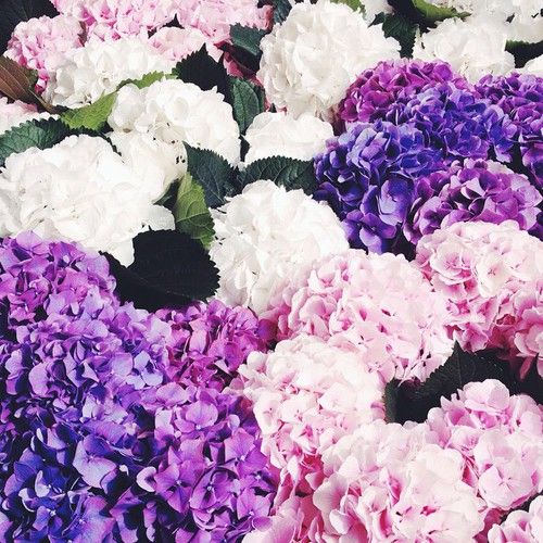  photo dasdasdcxcxlarge_zpsae14b013.jpg