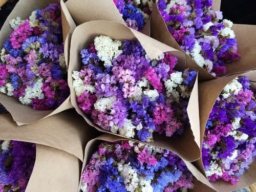  photo hgjhgjhghjglarge_zpsrp1wrr4s.jpg