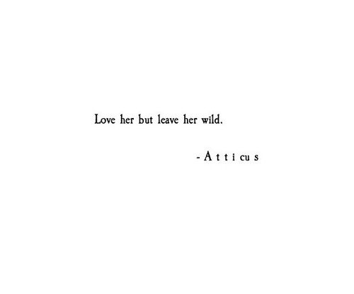  photo kjlarge_zps73edfc1b.jpg