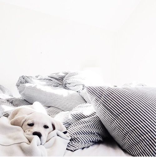  photo nvbvbvbvlarge_zps0ed804b9.jpg