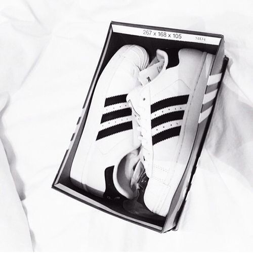  photo sdasdasdzxclarge_zps2a2eadad.jpg