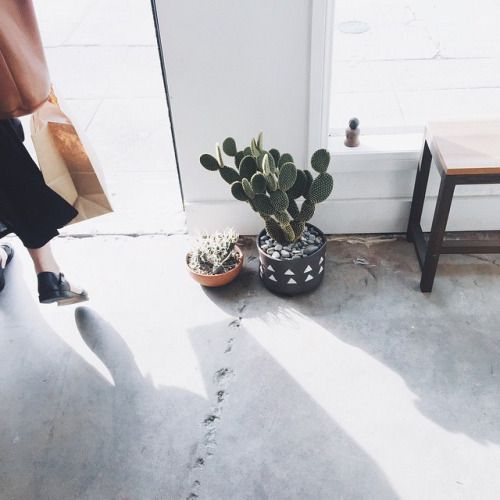  photo tumblr_nlwc3kXpqZ1qzavkmo1_500_zpshyntkt8v.jpg