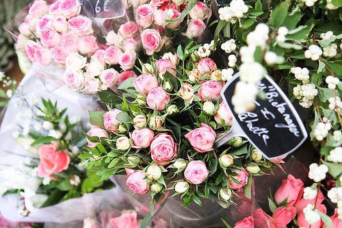  photo xlarge_zpsbfkq0x2r.jpg