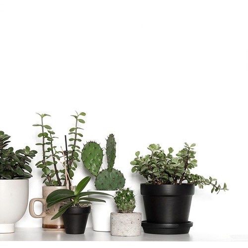  photo zlarge_zpsmer5anw2.jpg