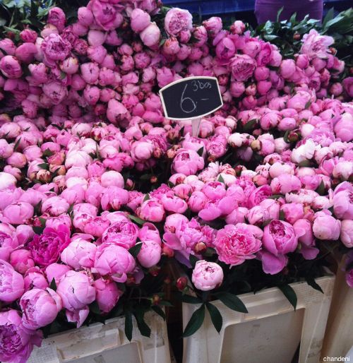  photo ewrwerlarge_zpsa68bd710.jpg