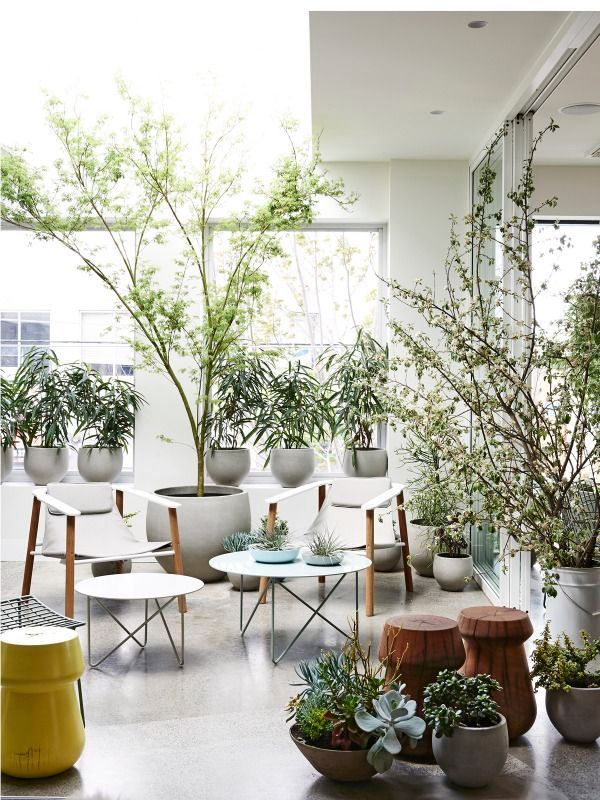  photo d9b130837c4ead9d9369e288ed7023aa_zpsrs6lety2.jpg